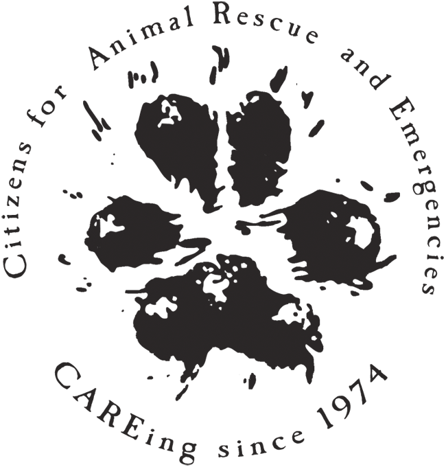 C.A.R.E.